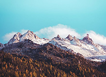 博鱼体育：让热爱体育的你，体验一站式娱乐与竞猜的全新未来