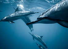 云开体育——开启运动新体验，引领健康生活